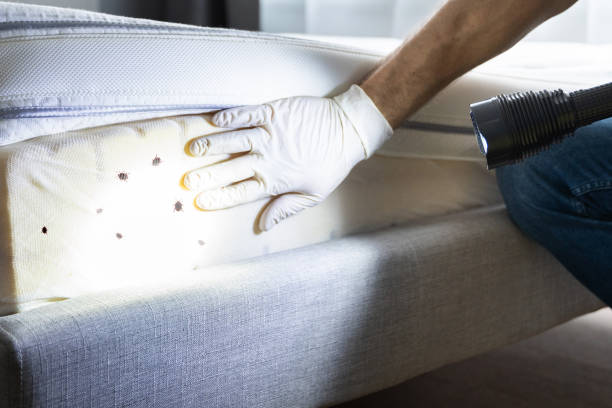 Best Best Pest Control Companies  in Ahuimanu, HI
